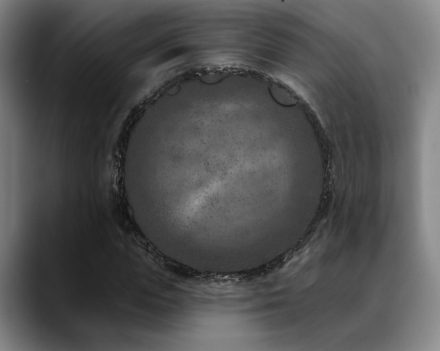 X0000089340823200706151042