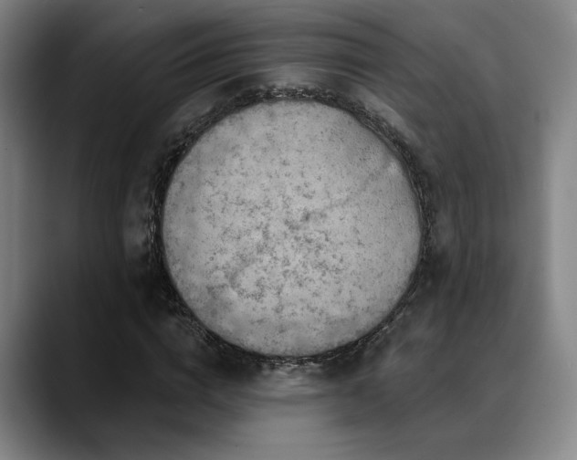 X0000089340824200706151042