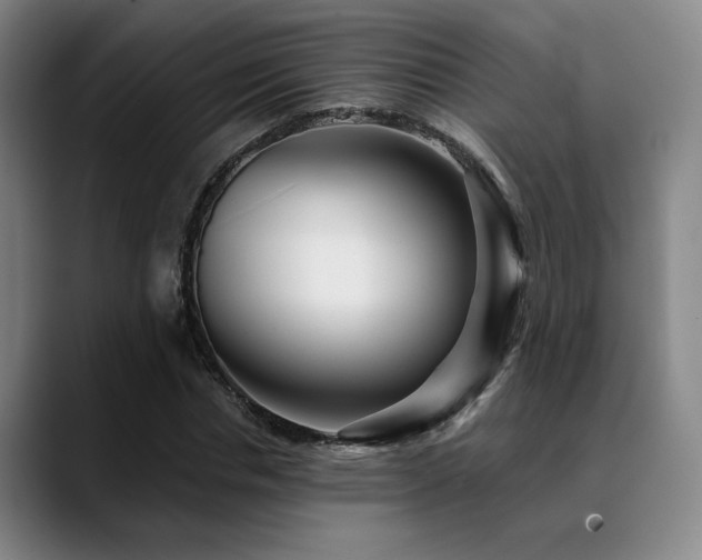 X0000089340826200706151042