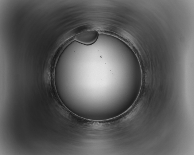 X0000089340827200706151042