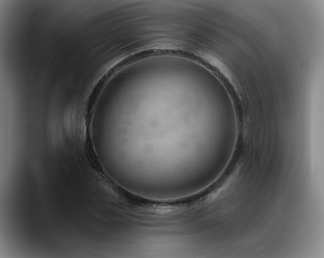 X0000089340829200706151042