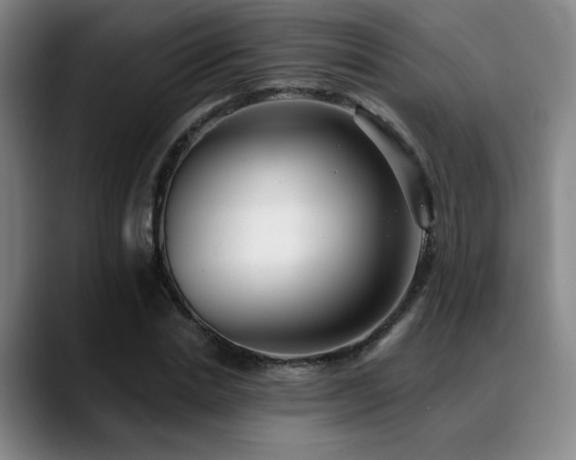X0000089340830200706151042