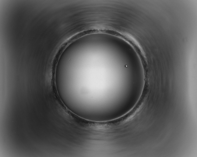 X0000089340831200706151042