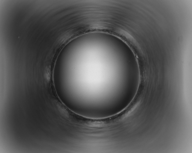 X0000089340833200706151042