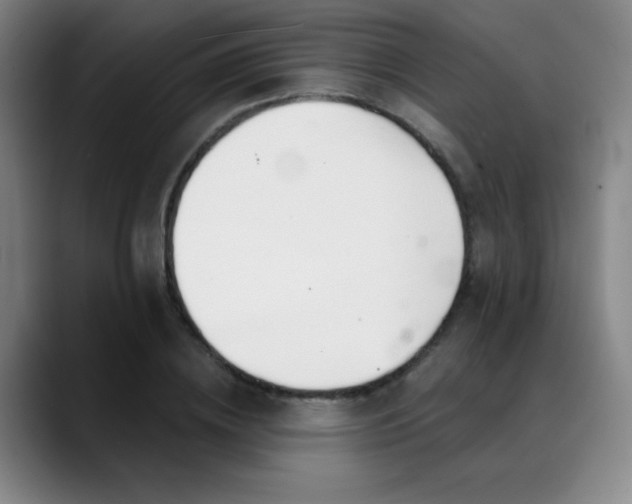 X0000089340836200706151042