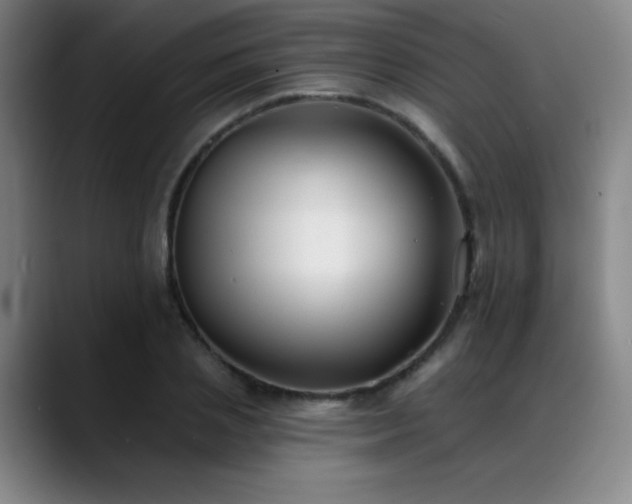 X0000089340837200706151042