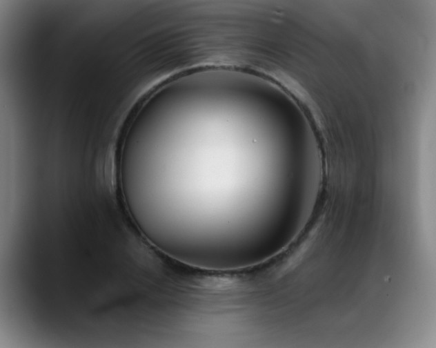 X0000089340838200706151042