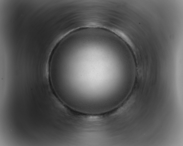X0000089340839200706151042