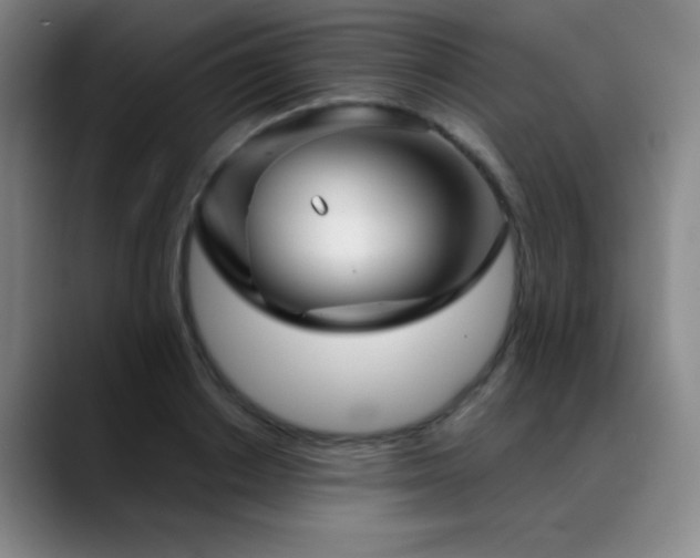 X0000089340842200706151042