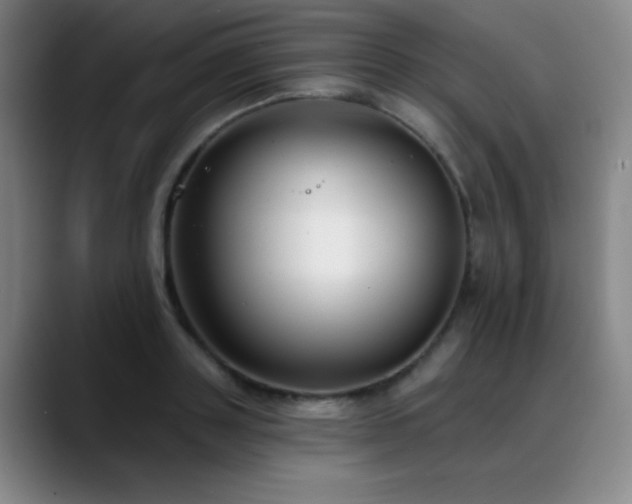 X0000089340843200706151042