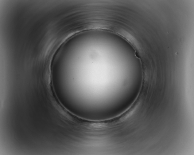 X0000089340844200706151042