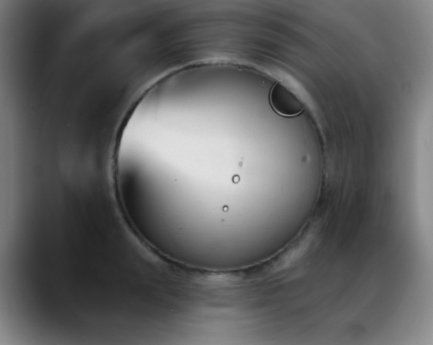 X0000089340847200706151042
