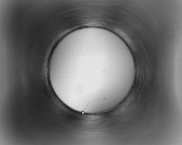 X0000089340848200706151042