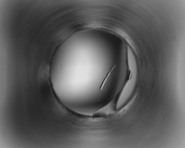 X0000089340849200706151042