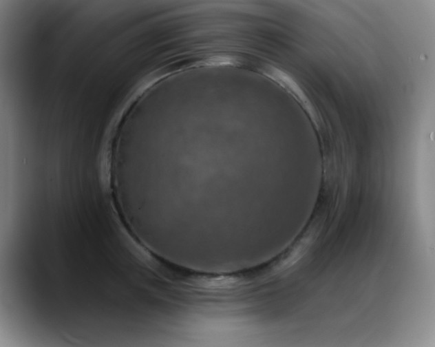 X0000089340851200706151042