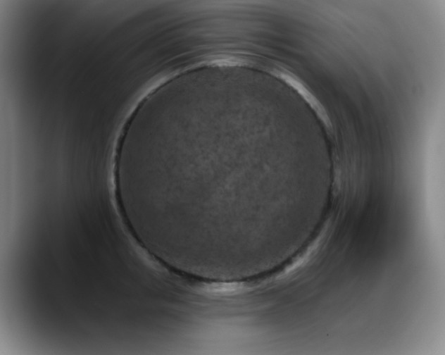 X0000089340853200706151042