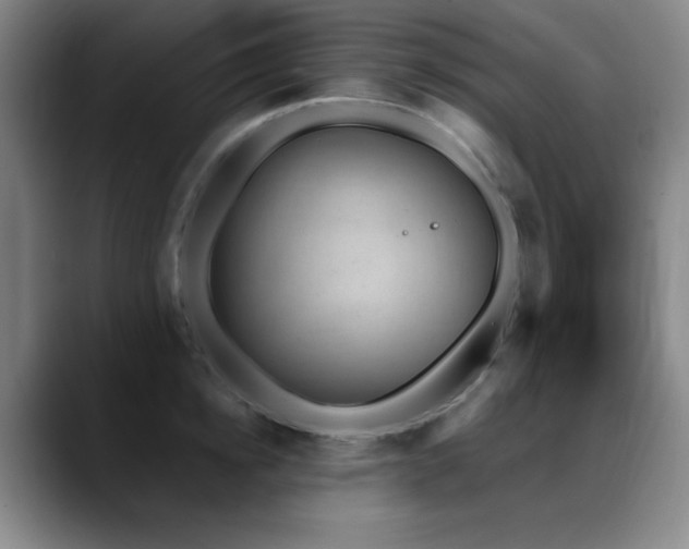 X0000089340854200706151042