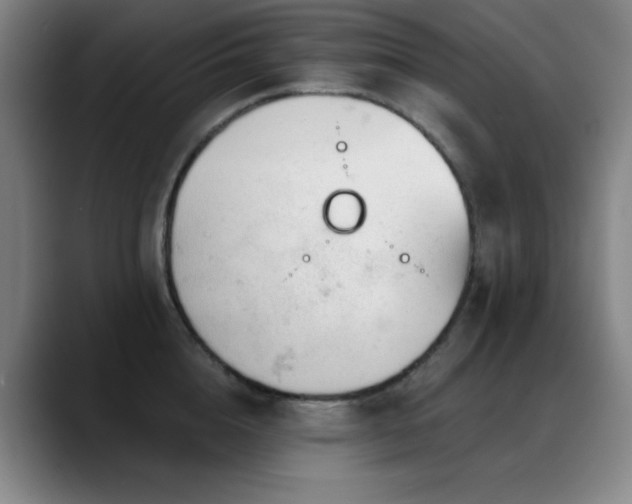 X0000089340856200706151042