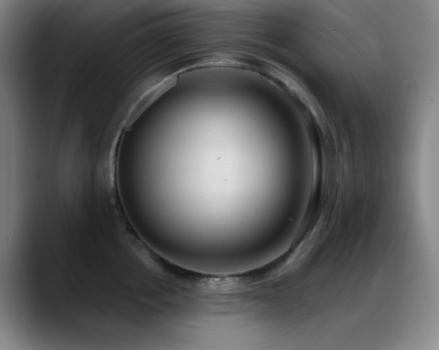 X0000089340858200706151042
