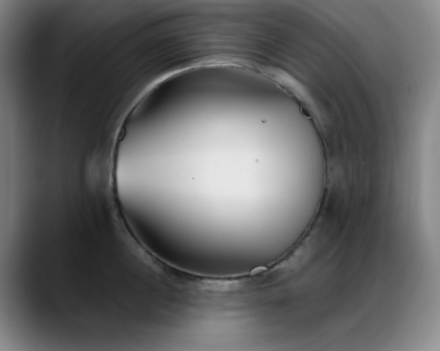 X0000089340860200706151042