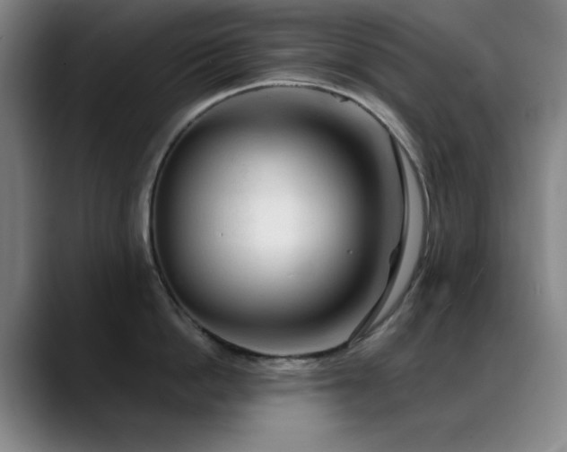 X0000089340862200706151042