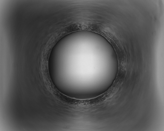 X0000089340865200706151041