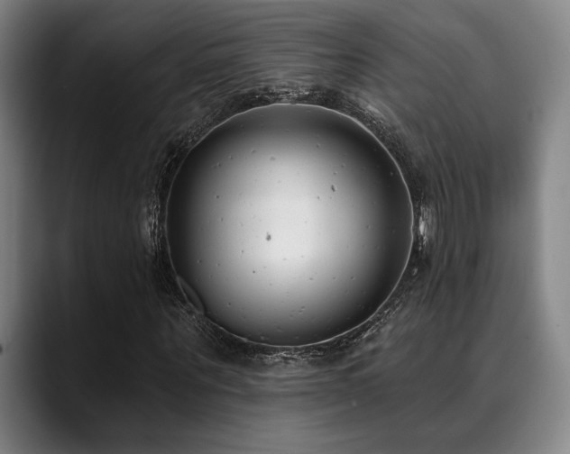 X0000089340867200706151041