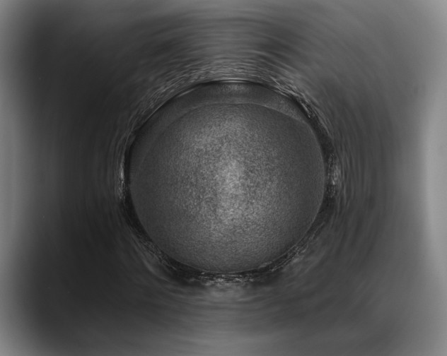 X0000089340868200706151041