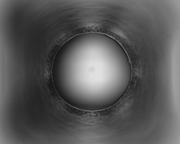 X0000089340869200706151041