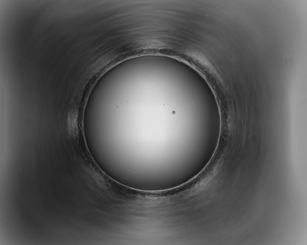 X0000089340873200706151041