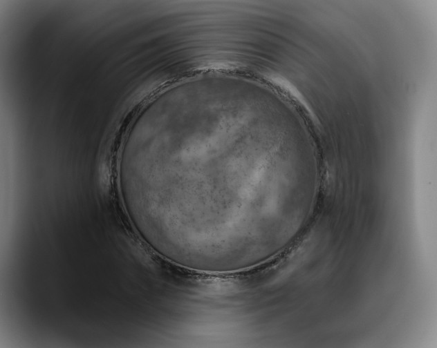 X0000089340874200706151041
