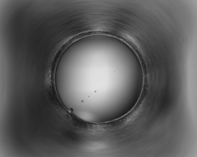 X0000089340875200706151041