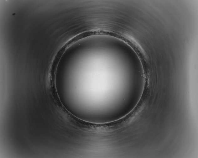 X0000089340876200706151041