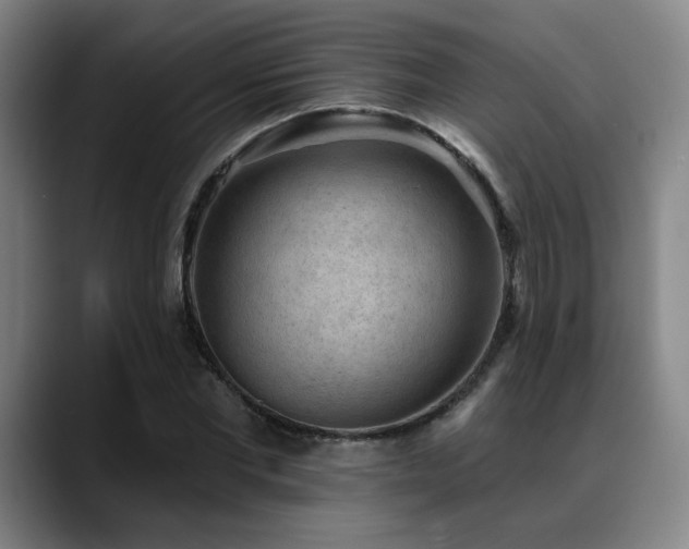 X0000089340877200706151041