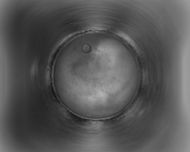 X0000089340878200706151041