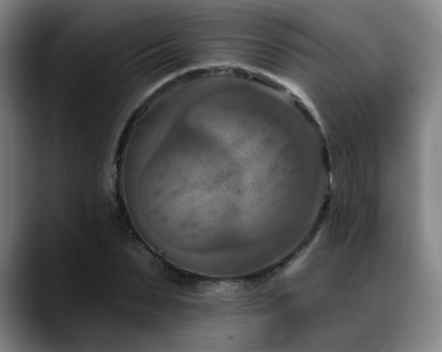 X0000089340879200706151041