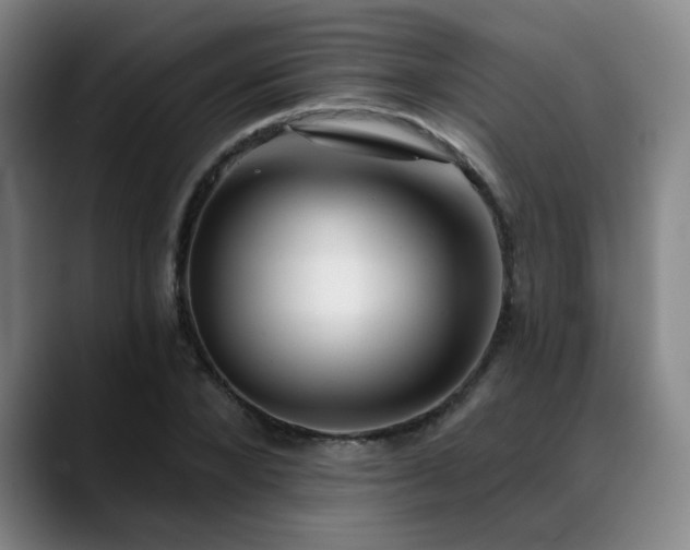 X0000089340880200706151041