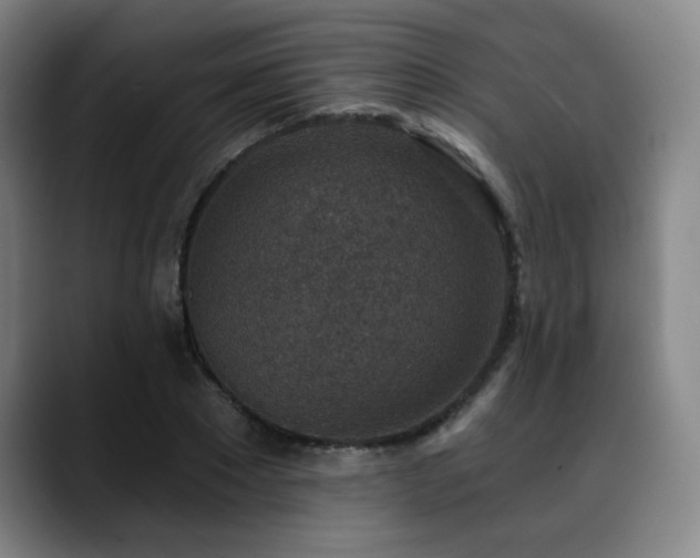 X0000089340881200706151041