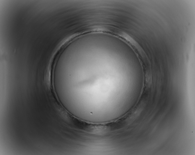 X0000089340886200706151041
