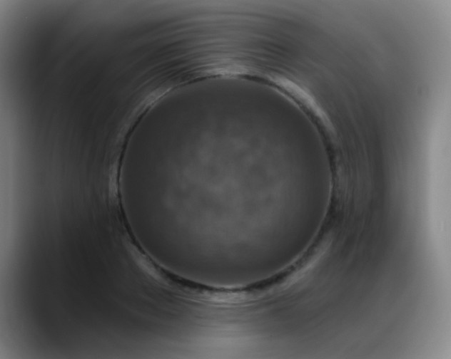 X0000089340889200706151041