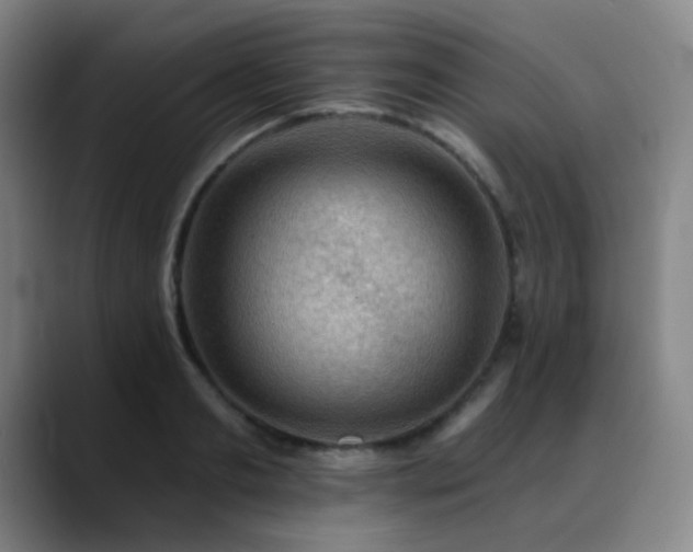 X0000089340893200706151041