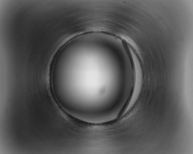 X0000089340894200706151041