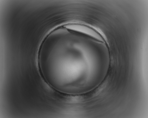 X0000089340895200706151041