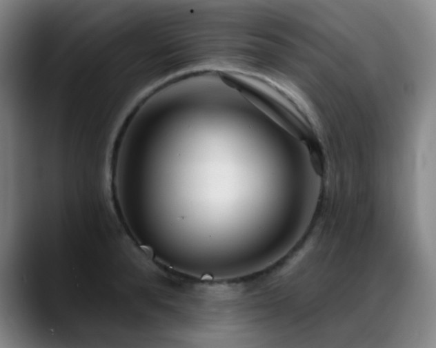X0000089340896200706151041