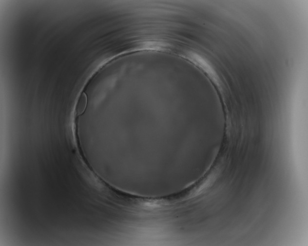 X0000089340899200706151041