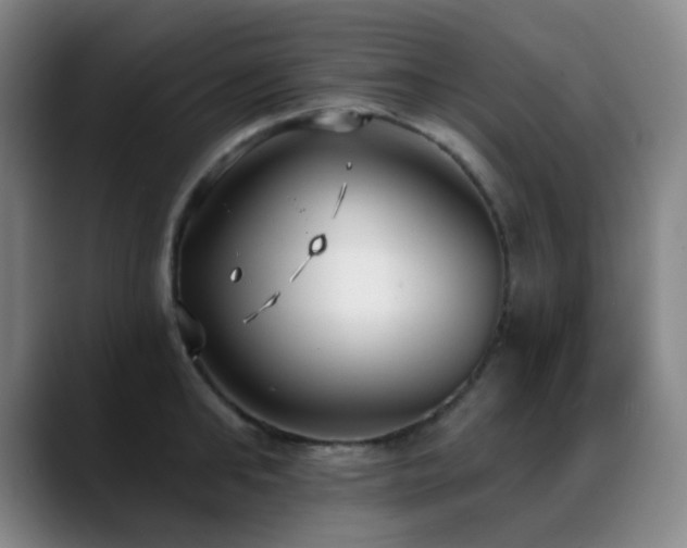 X0000089340902200706151041