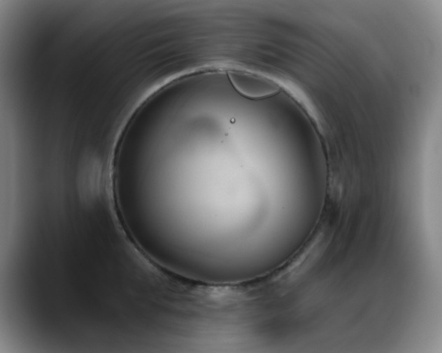 X0000089340903200706151041