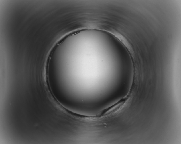 X0000089340904200706151041