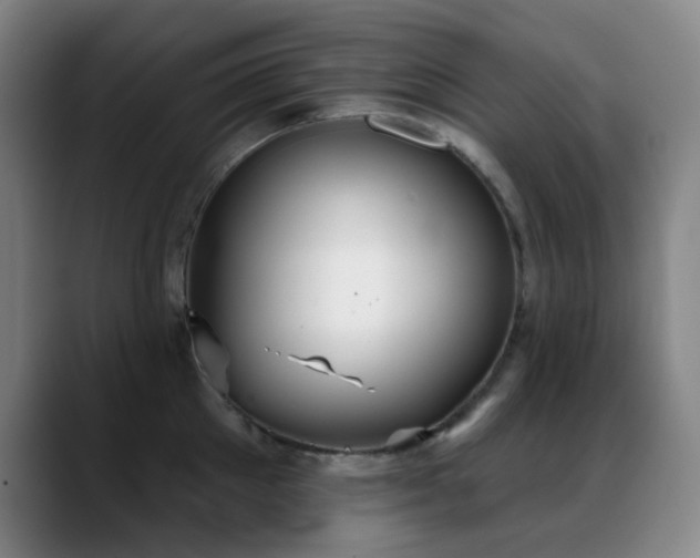 X0000089340905200706151041