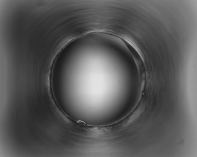 X0000089340906200706151041